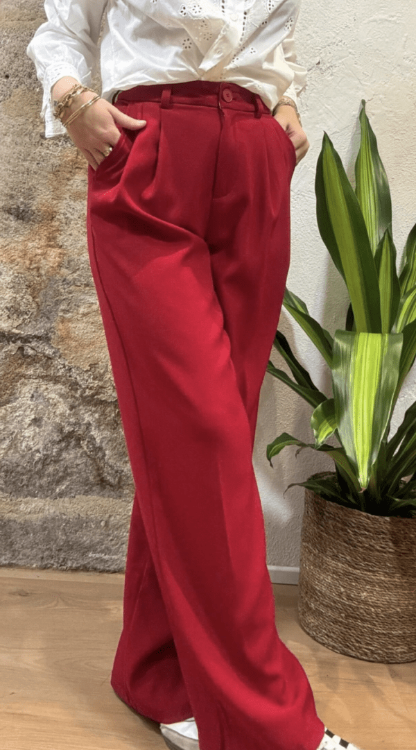 Pantalon à pinces LAZARE rouge